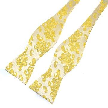 Pensee Gentlemean Jacquard Woven Business Ties Bow Tie Pattern Paisley Silk Ties