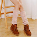 Chaussettes Compression Socks Loafer